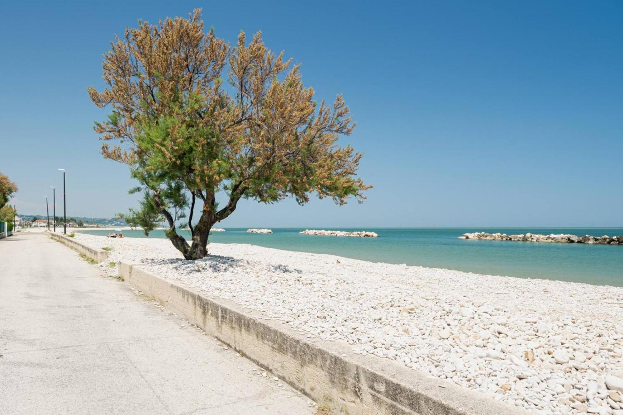 Ostriche - Yourplace Abruzzo Torino di Sangro Esterno foto